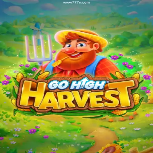 Exploring GoHighHarvest: Discover the Ultimate in Brazilian Online Gaming